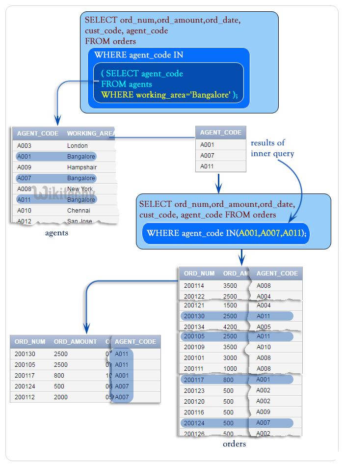 SQL IN Example